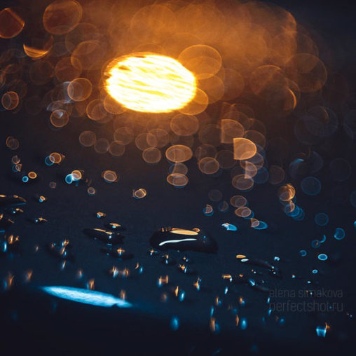 Helios 442 Swirly Bokeh Review, Sample Images for Under