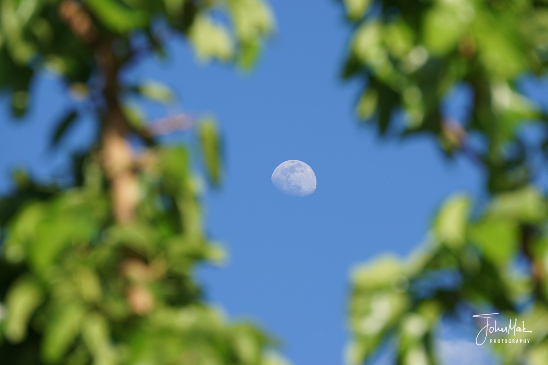 sony a6000 moon pictures