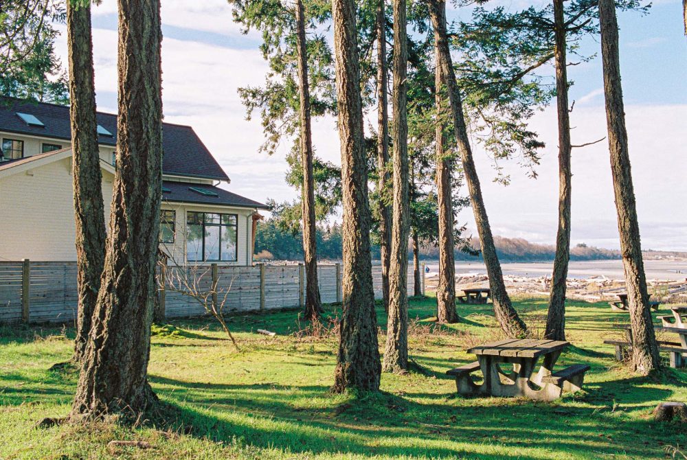 trees and house near the coast