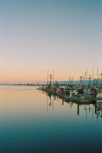 dock and calm waters